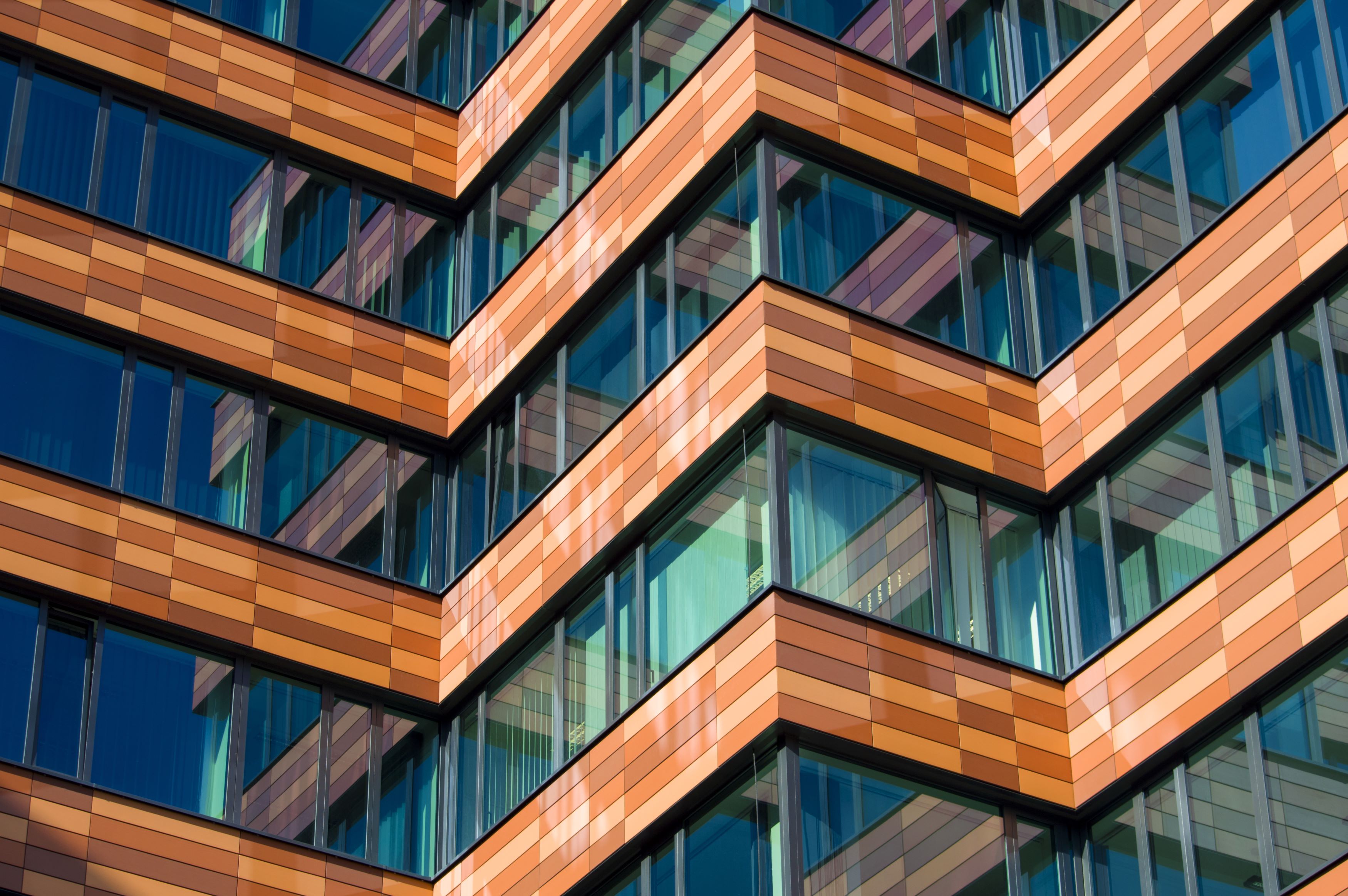 Sėkminga karjeros pradžia